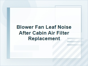 Blower Fan Leaf Noise After Cabin Air Filter Change