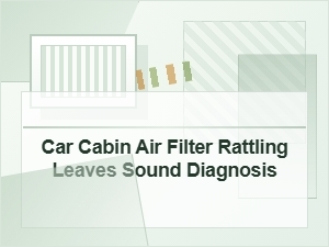 Car Cabin Air Filter Rattling Leaves Sound Diagnosis