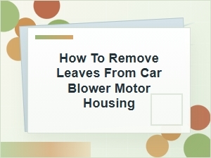 How to Remove Leaves From a Car Blower Motor Housing
