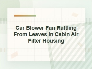 Car Blower Fan Rattling From Leaves in Cabin Filter