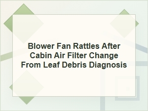 Blower Fan Rattles After Cabin Filter Change? Leaf Debris