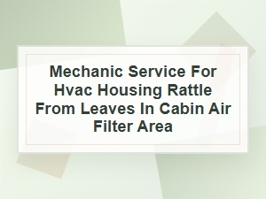 Mechanic Service for Hvac Housing Rattle From Leaves