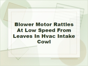Blower Motor Rattles at Low Speed From Cowl Leaves