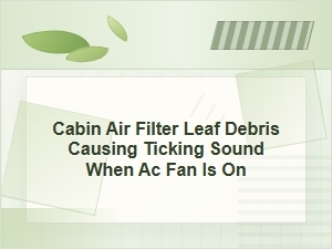 Cabin Air Filter Leaf Debris Causing Ticking Sound