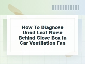 How to Diagnose Leaf Noise Behind the Glove Box