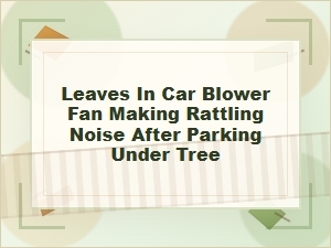 Leaves in Car Blower Fan Causing Rattling After Parking