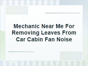 Need a Mechanic Near Me for Leaf Noise Diagnosis?