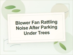 Blower Fan Rattling Noise After Parking Under Trees