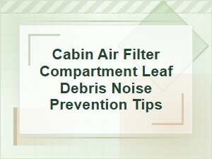 Cabin Air Filter Compartment Leaf Debris Noise Tips