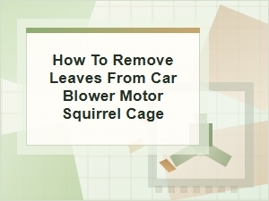 How to Remove Leaves From a Car Blower Motor Fan